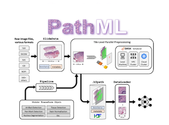 PathML